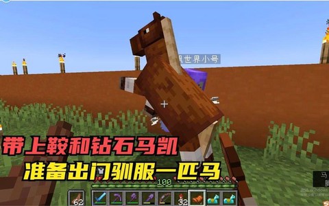 我的世界手机版怎么给马穿铠甲