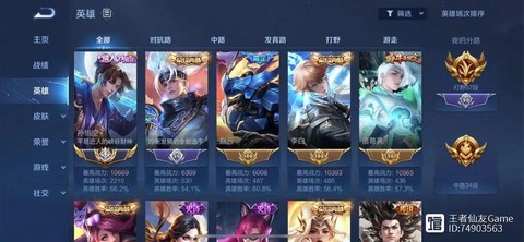 王者荣耀怎么看皮肤数量[图2]