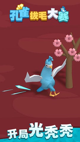 孔雀拔毛大赛图2