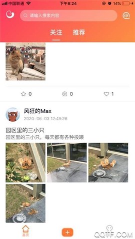 团纸日记图1