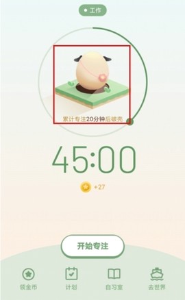 专注崽崽[图7]