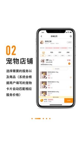 养宠有道图3