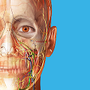 https://static.down8818.com/uploads/20260603/6a1fd6ad0da964.63860527.png