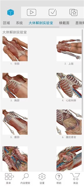 人体解剖学图谱[图1]