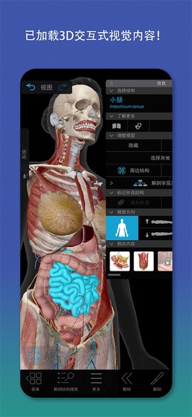 人体解剖学图谱图3