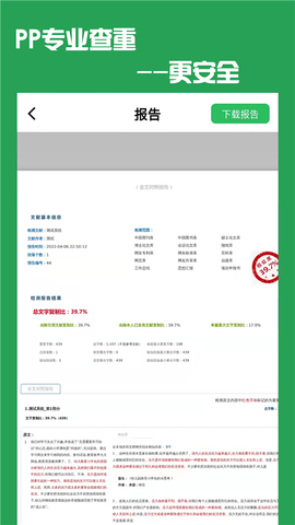 PP论文查重图1