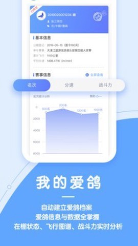 信鸽纵横图1