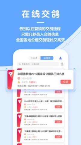 信鸽纵横图2