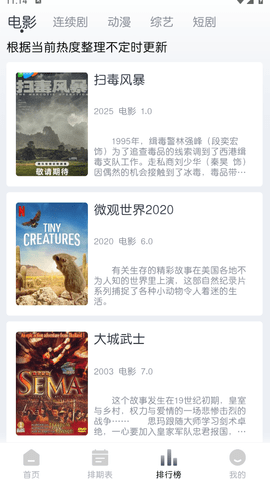 猫放时光图3