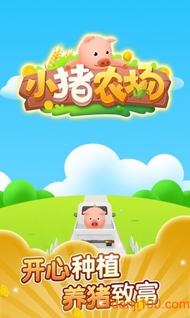 小猪农场[图1]