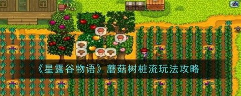 星露谷物语树桩怎么砍[图2]