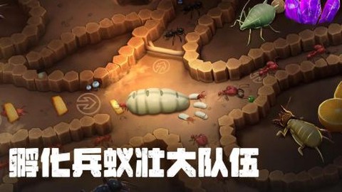 蚂蚁大冒险[图1]