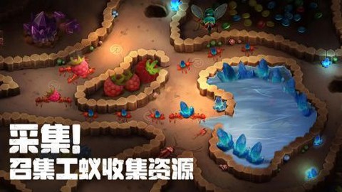 蚂蚁大冒险图1