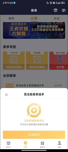 王者人生[图3]