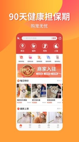 宠物市场[图1]