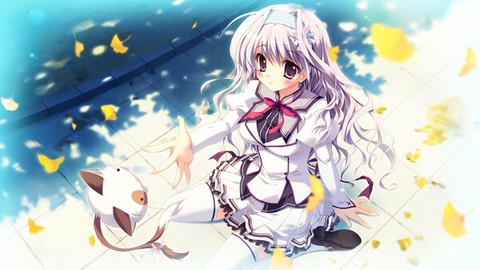 纯白交响曲[图1]
