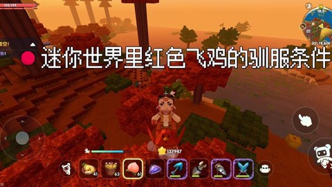 迷你世界怎么训服飞鸡
