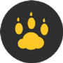 云猫玩