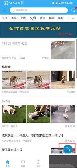 猛犬俱乐部[图3]