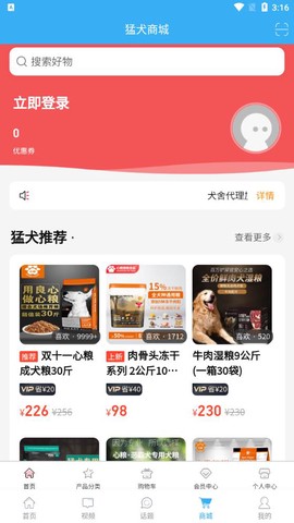 猛犬俱乐部图1