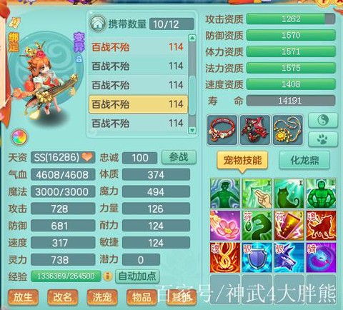 手游神武小昕怎么加点