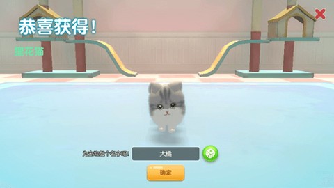 养了个猫[图4]