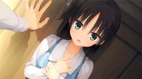 千恋万花[图2]