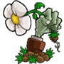 植物大战僵尸仿e支