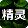精灵之泉
