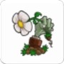 https://static.down8818.com/uploads/20260607/6a250ecd770427.61665708.png