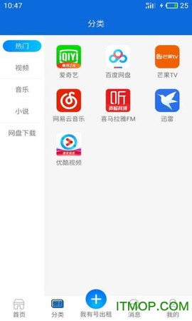 出租猫[图1]