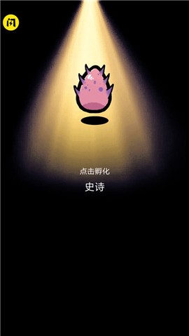 小鸡真奇怪[图4]