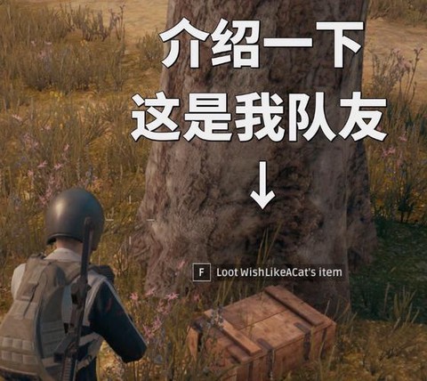 绝地逃亡金币有什么用