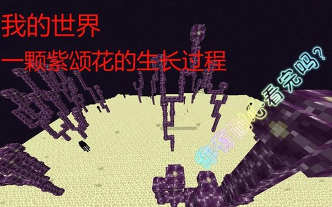 我的世界紫颂花怎么种[图2]