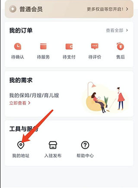天鹅到家[图1]