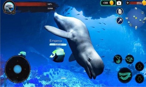 海洋大捕杀[图1]