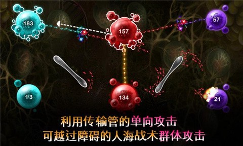 繁殖战争2截图2