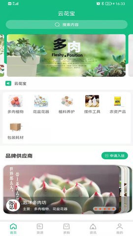 云花宝[图1]