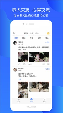 犬卫士截图2