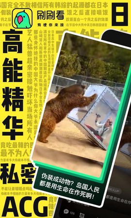 刷刷看[图4]