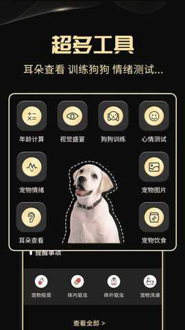 人狗交流神器[图1]