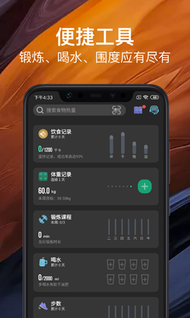 热量减肥法截图2