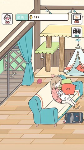 猫咪饲养日常[图1]