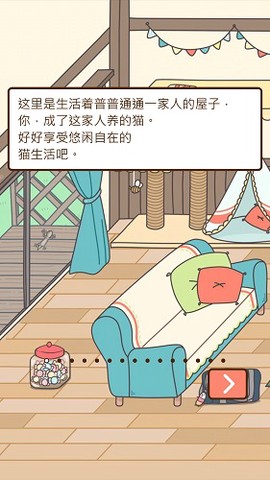 猫咪饲养日常截图1
