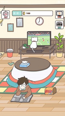 猫咪饲养日常截图2