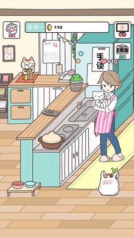 猫咪饲养日常截图3