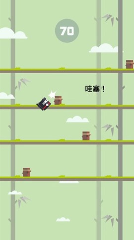 忍者男孩[图1]