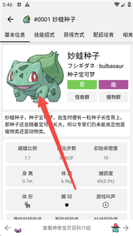神奇宝贝图鉴[图11]