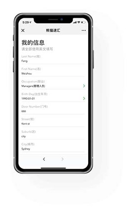 熊猫速汇[图2]