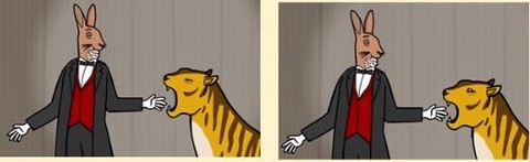 兔子先生的魔术秀[图7]
